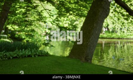 Parco verde sfocato con effetto bokeh caratterizzato da alberi, fiori e un corpo d'acqua sereno che crea un ambiente all'aperto tranquillo e naturale perfetto Foto Stock