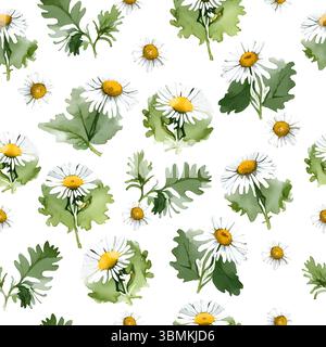 Delicato e allegro motivo ad acquerello tracciato senza cuciture con fiori di camomilla bianca (camomilla) su sfondo trasparente. Questo floreale botanico Illustrazione Vettoriale