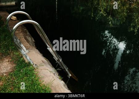 Scala in acciaio inox che conduce all'acqua scura e naturale circondata da erba e rami sporgenti. Misterioso e tranquillo luogo di nuoto rurale. Krupaj Foto Stock
