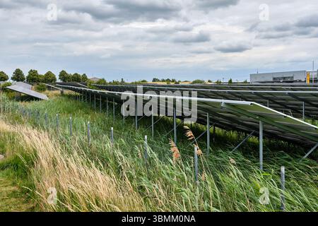25 giugno 2024 - Altentreptow-Germania: File di pannelli solari su un campo verde vicino a un sito industriale sotto un cielo nuvoloso nel Meclemburgo, evidenziando re Foto Stock