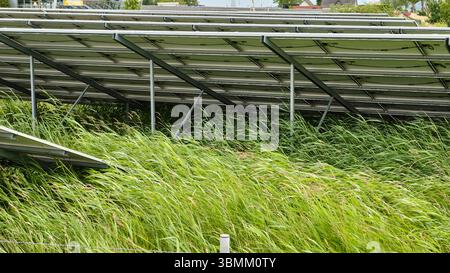 25 giugno 2024 - Altentreptow-Germania: File di pannelli solari su un campo verde vicino a un sito industriale sotto un cielo nuvoloso nel Meclemburgo, evidenziando re Foto Stock