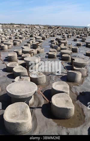 Rovine della città abbandonata di Miramar sulla riva del lago Mar Chiquita, Argentina, dopo una devastante inondazione. Impatto duraturo della tragedia passata. Foto Stock