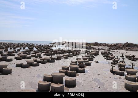 Rovine della città abbandonata di Miramar sulla riva del lago Mar Chiquita, Argentina, dopo una devastante inondazione. Impatto duraturo della tragedia passata. Foto Stock