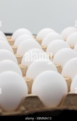 uova di pollo bianche nel vassoio di cartone con spazio per trenta uova isolate su sfondo bianco Foto Stock