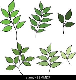 Un insieme di diversi tipi di foglie Illustrazione Vettoriale