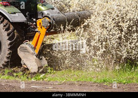 Immagine di un carrello di tipo trattore che lavora su boccole di pulizia con un determinato dispositivo. È una giornata di sole e i cespugli fioriscono di fiori bianchi. Foto Stock
