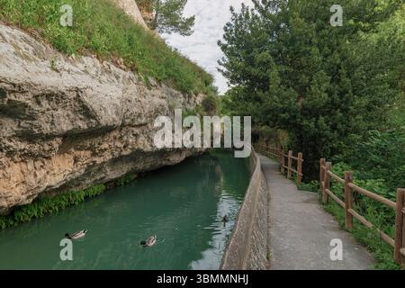 Percorso dell'acqua, un percorso per camminare attraverso la natura e le acque di un canale sul fiume Jucar ad Alcala del Jucar, Albacete, Castilla la Mancha, Spagna. Foto Stock