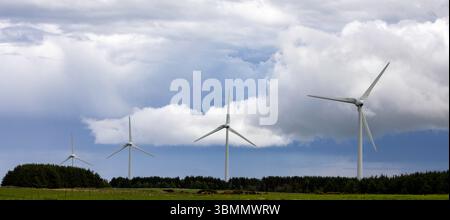 Quattro turbine eoliche bianche si stagliano contro un cielo grigio e nuvoloso nella campagna della Scozia nord-orientale Foto Stock