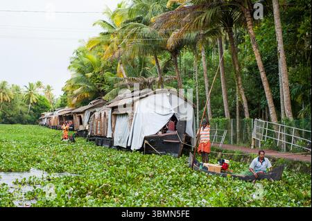 Casa galleggiante in mezzo al Giacinto d'acqua (Eichhornia crassipes) in un canale di acque secondarie a Kumarakom, stato del Kerala, India meridionale, Asia Foto Stock