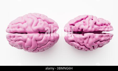 Illustrazione che confronta un cervello sano (a sinistra) e uno affetto dalla malattia di Alzheimer (a destra). I cervelli affetti dall'Alzheimer mostrano un notevole restringimento e atrofia nelle regioni cerebrali, in particolare nella corteccia cerebrale e nell'ippocampo. Foto Stock