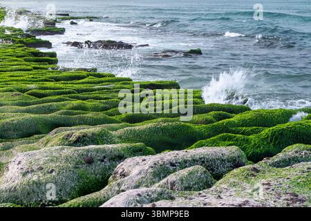 Potenti onde si infrangono contro le vibranti formazioni rocciose ricoperte di alghe verdi della barriera corallina verde di Laomei a Shimen, nuova Taipei, Taiwan, creando dramati Foto Stock