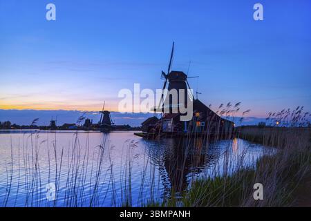 Fiume Zaan serale con mulini a vento olandesi a Zaandam, Paesi Bassi. Paesaggio al tramonto con mulini a vento e campi di erbe selvatiche e fiori Foto Stock