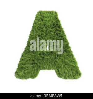 Lettera a dell'alfabeto a base di erbe isolata su illustrazione 3D bianca Foto Stock
