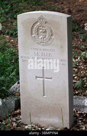 Private S.E. Ellis del Royal Army Medical Corps, morto il 28 novembre 1919, all'età di 46 anni Foto Stock