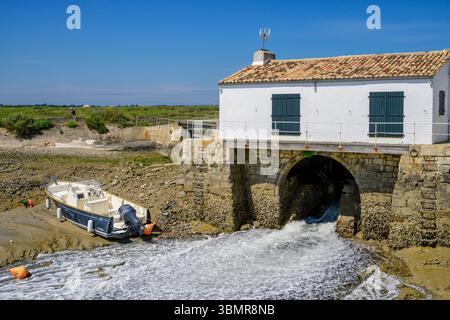 Mulino a marea di Loix, Île de Ré, Charente-Maritime, Francia Foto Stock