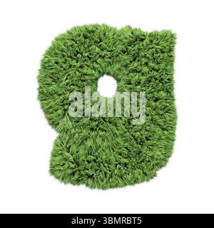 Lettera minuscola dell'alfabeto erboristico g. isolata su illustrazione 3D bianca Foto Stock