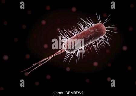 Primo piano di batteri microscopici, illustrazione 3d. Foto Stock