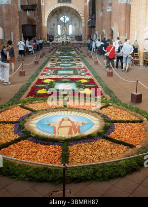 Alseno, Italia 22 giugno 2025 i turisti ammirano un vibrante tappeto floreale di Gesù Cristo all'interno dell'Abbazia di Chiaravalle della Colomba, che celebra il Corpus Foto Stock