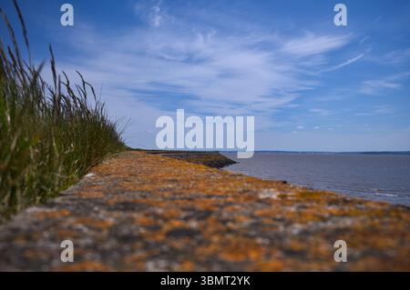 Seawall Goldcliff guardando a nord. Parete in pietra intemprata. Foto Stock