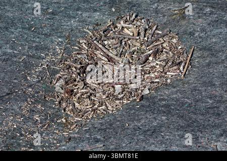 Un piccolo mucchio di ramoscelli, corteccia e trucioli di legno si appoggia su un rivestimento sintetico scuro, mostrando una consistenza ruvida e detriti organici in un giardino Foto Stock