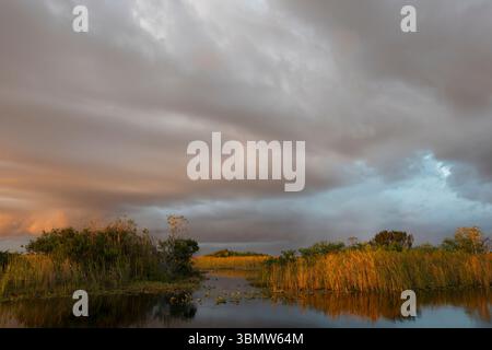 Marzo al tramonto nel Parco Nazionale delle Everglades, Florida Foto Stock