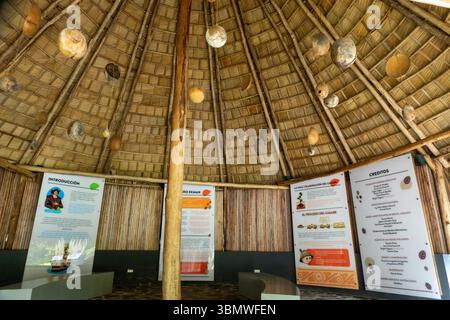 Dottor Rafael ma. Giardino botanico nazionale Moscoso a Santo Domingo, Repubblica Dominicana Foto Stock