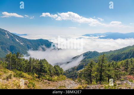 Sea ​​of ​​clouds a Yakou. Si tratta di un passo di montagna a Taiwan che attraversa la catena montuosa centrale all'interno del parco nazionale di Yushan. Si trova a Tait Foto Stock