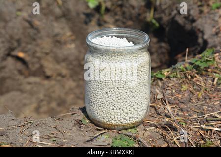 Il fosfato monocalcico è un composto inorganico con formula chimica CA(H2PO4)2 fertilizzante per la piantagione di alberi da frutto nel vetro. Foto Stock