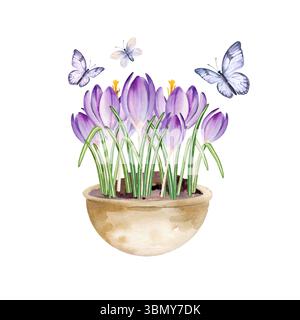 Fiori primaverili in vaso di ceramica, volando varie farfalle, acquerelli disegnati a mano blu e crochi lilla crescono in vaso di argilla, illustrano primaverile e pasquale Foto Stock