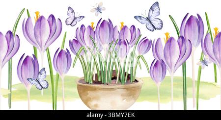croci fiori in vaso di ceramica, farfalle volanti, acquerello blu disegnato a mano, fiori lilla con foglie verdi crescono in vaso, bordo senza cuciture, primavera Foto Stock