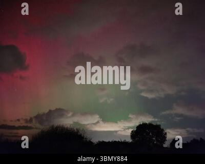 Aurora boreale che illumina il cielo notturno su alberi sagomati Foto Stock