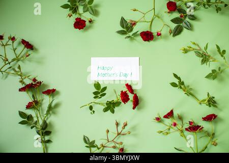 Disposizione di piccole rose rosse isolate sul verde. Foto Stock