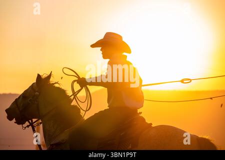 Un cowboy a cavallo getta il suo lazo sullo sfondo di un tramonto incandescente. La silhouette cattura lo spirito del West americano, mescolando acti Foto Stock
