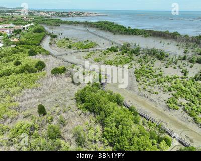 Vista aerea dell'ampio sistema di passerelle in legno che si snoda attraverso incontaminate paludi di mangrovie, creando un'infrastruttura eco-turistica sostenibile Foto Stock