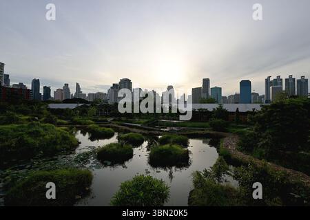 Il sole mattutino sorge sulle paludi nel Parco di Benjakitti con grattacieli ed edifici commerciali delle strade Sukhumvit e Ratchadaphisek sullo sfondo Foto Stock