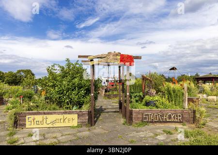 Berlino, Germania - 25 luglio 2023: Giardino comunitario e progetto artistico Stadacker al campo Tempelhofer di Berlino, Germania in Europa Foto Stock