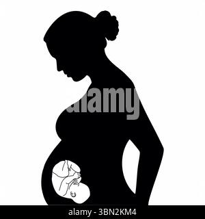 Gravidanza con fecondazione in vitro del bambino (fecondazione in vitro) silhouette di fertilità Foto Stock