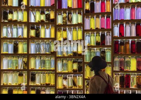 Almere, Paesi Bassi - Giugno 15: Mostra casa di ricerca con muro di bottiglie al Floriade Expo 2022 crescente città verdi ad Almere Amsterdam la rete Foto Stock