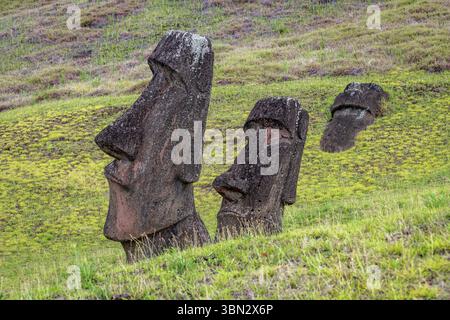 Moais nella cava di Rano Raraku, a Rapa Nui, Isola di Pasqua. Foto Stock