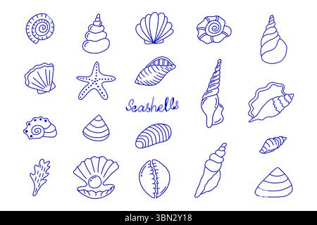 Illustrazione vettoriale disegnata a mano di conchiglie e stelle marine, collezione di conchiglie marine, kit marino da viaggio estivo. Set di conchiglie sottomarine, profilo a doodle, li Illustrazione Vettoriale