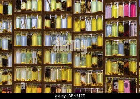 Almere, Paesi Bassi - Giugno 15: Mostra casa di ricerca con muro di bottiglie al Floriade Expo 2022 crescente città verdi ad Almere Amsterdam la rete Foto Stock