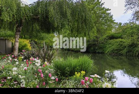 Fiume Eure con colorati fiori di primavera a Chartres Eure-et-Loire in Francia Foto Stock