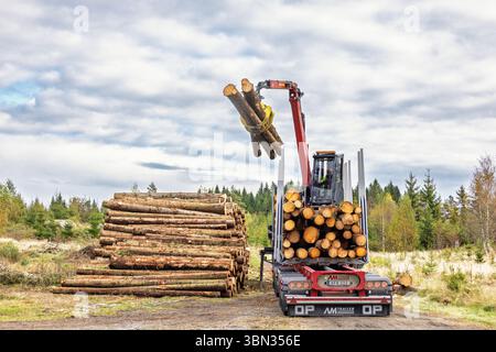 Gru che solleva tronchi di legno sul rimorchio del veicolo Foto Stock