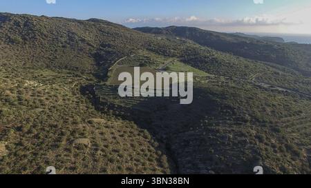 Vista aerea degli oliveti di capo de creus. Foto Stock