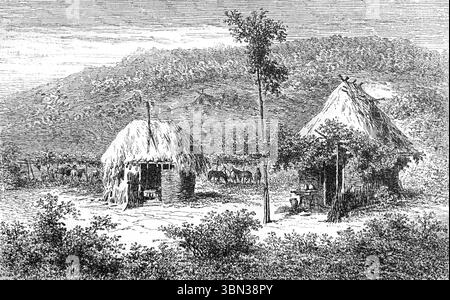 Relais de Poste rurale tradizionale, stazione di staffaggio, stazione di palcoscenico, stazione di posta, posta di staging, casa postale, Posthouse o Casa postale nella campagna rumena o nella Romania rurale. Incisione vintage o storica o illustrazione 1866 Foto Stock