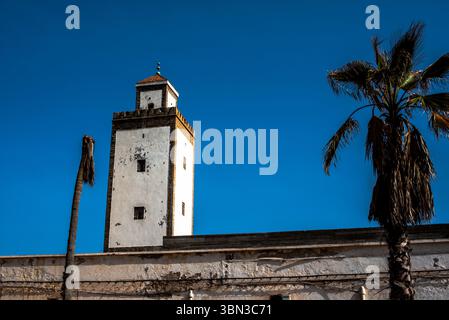 crenellated civic tower in brick and white plaster stands out against the blue sky of Essaouira between the city walls and the palm trees in Morocco Foto Stock