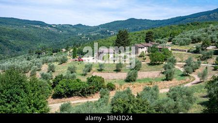 Campagna toscana vicino a Trebbio, Toscana, Italia Foto Stock
