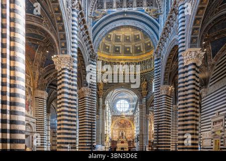 All'interno della Cattedrale metropolitana di Santa Maria Assunta, il Duomo, Siena, Toscana, Italia Foto Stock