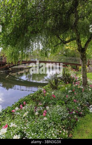 Fiume Eure con colorati fiori di primavera a Chartres Eure-et-Loire in Francia Foto Stock