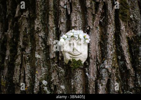 Faccia di mostro sull'albero con spine e verruche affilate. Spirito degli alberi e concetto di fantasia. Spiriti pagani, rituali 20 Foto Stock